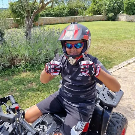Maslina San Lorenzo Sveti Lovreč Pazenatički