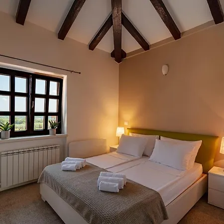 Maslina San Lorenzo Villa Sveti Lovreč Pazenatički