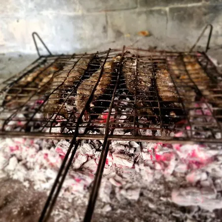 Maslina San Lorenzo *