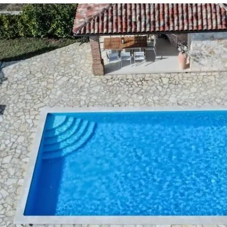 Maslina San Lorenzo Villa Sveti Lovrec Pazenaticki