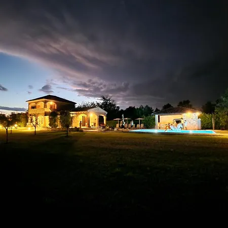 Maslina San Lorenzo * Sveti Lovrec Pazenaticki